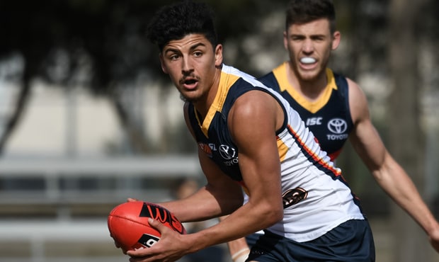 Matthew Signorello SANFL close 620.jpg Matthew Signorello